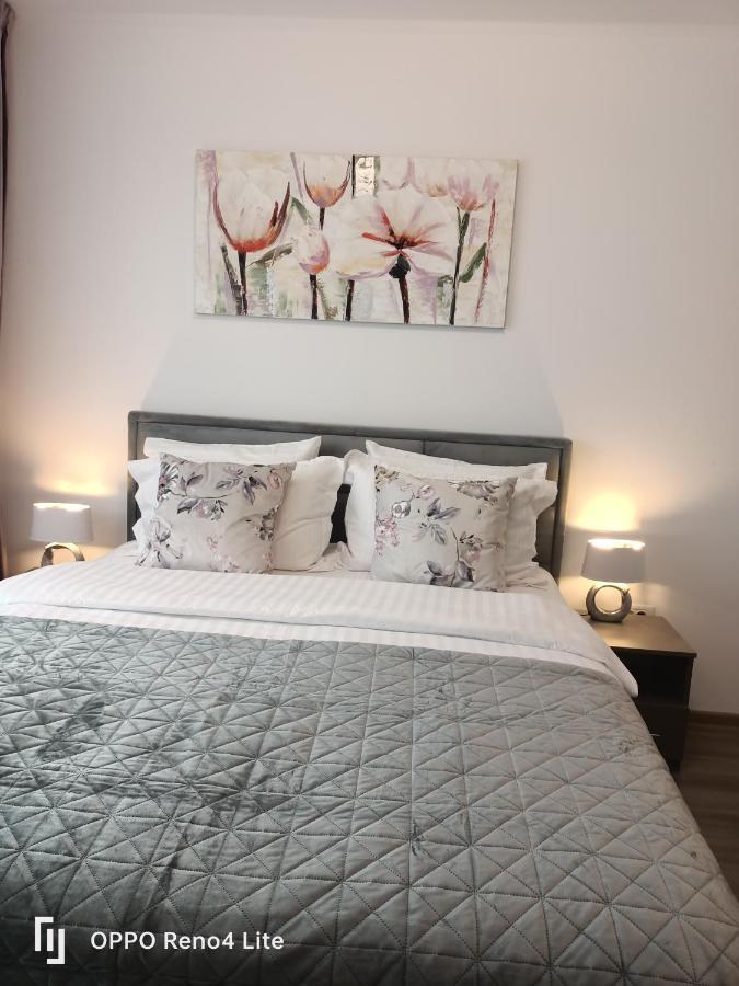 D&N Relax Apartment Braşov Eksteriør bilde